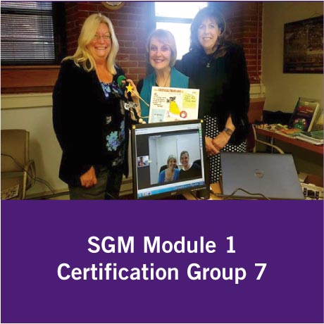 SGM Certification Group 7