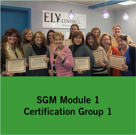 SGM Certification Group 1